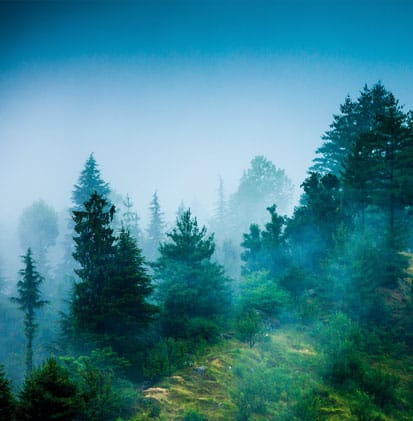 Nebel besteht aus feinsten Wassertropfen. ©ingimage.com Nebel besteht aus feinsten Wassertropfen. ©ingimage.com