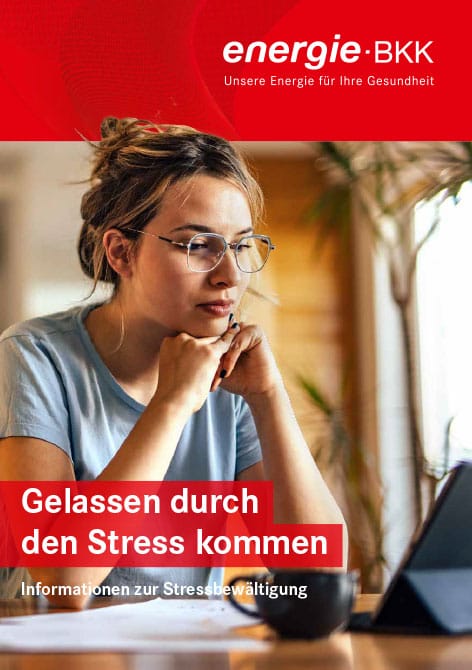 Deckblatt Broschüre Zuviel Stress ist ungesund